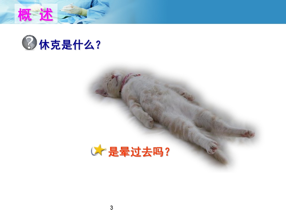 病理生理休克参考课件.ppt_第3页