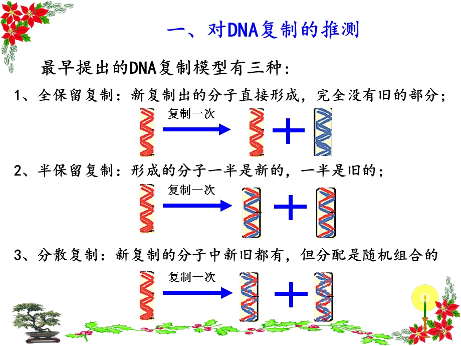 分子的复制 ppt课件.ppt_第2页