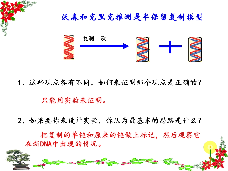 分子的复制 ppt课件.ppt_第3页