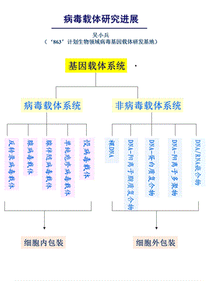 病毒载体研究进展课件.ppt