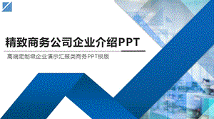 精致商务公司企业介绍模板课件.pptx