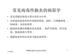 病毒性脑炎专业知识讲座培训课件.ppt