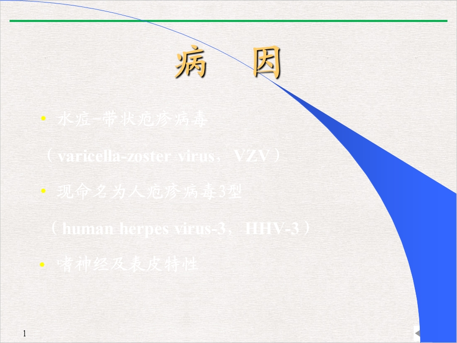 病毒性细菌性皮肤病课件.pptx_第2页