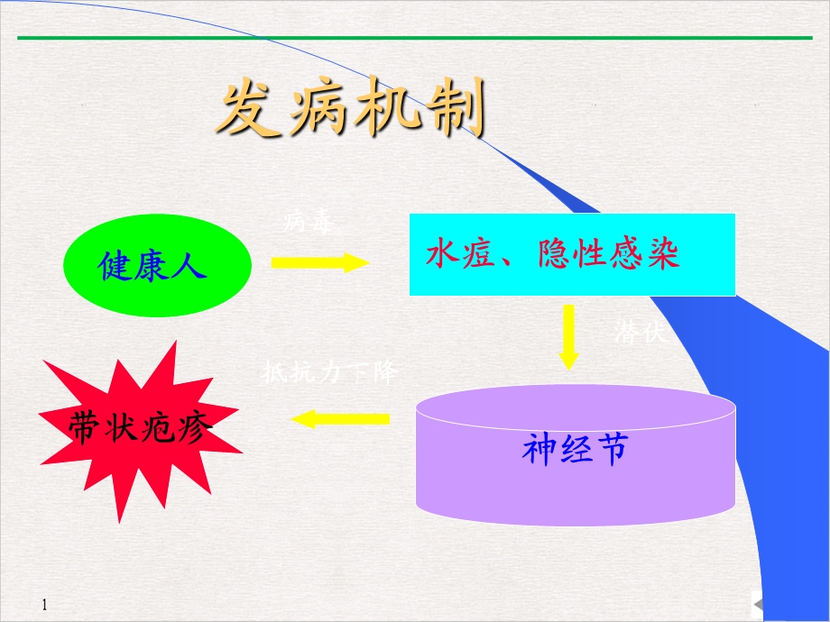 病毒性细菌性皮肤病课件.pptx_第3页