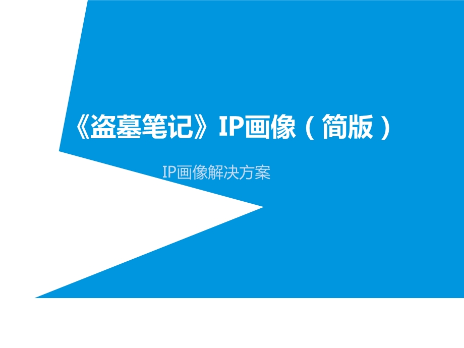 盗墓笔记IP画像解决方案.ppt_第1页