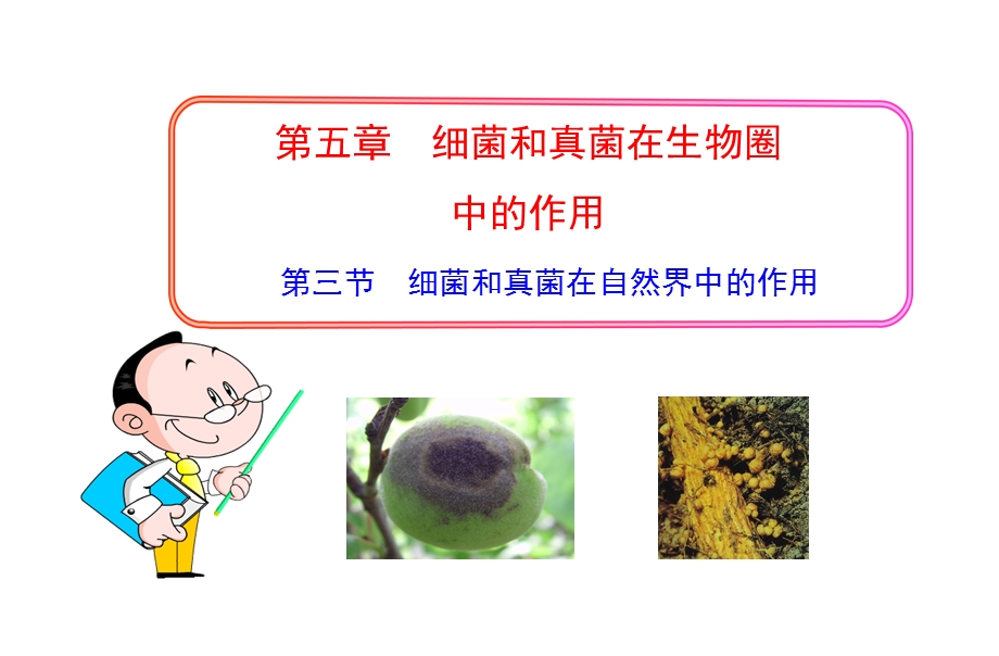 第四节 细菌和真菌在自然界中的作用课件.ppt_第1页