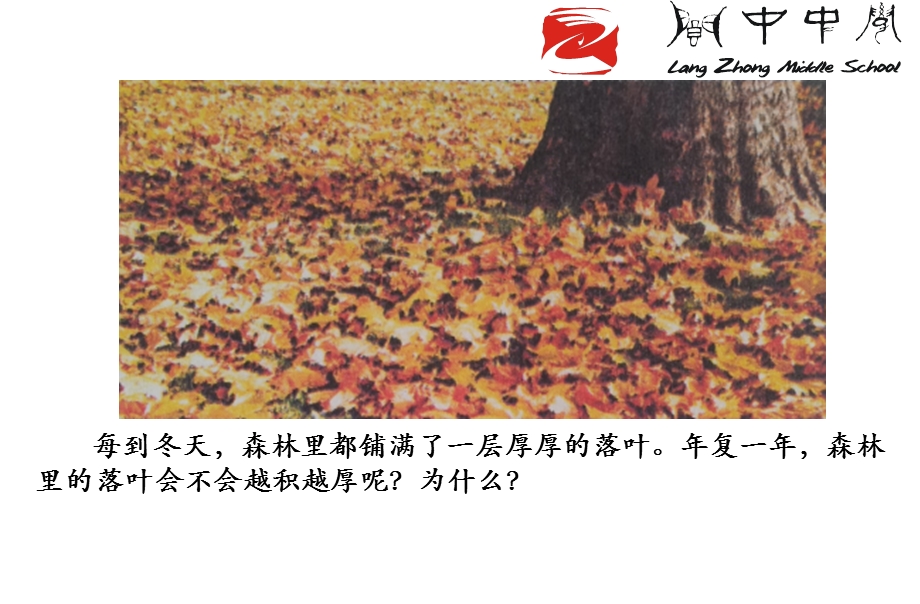 第四节 细菌和真菌在自然界中的作用课件.ppt_第2页