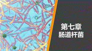 病原生物学与免疫学第七章课件.ppt