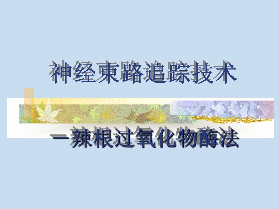 神经生物学实验课件.ppt_第1页