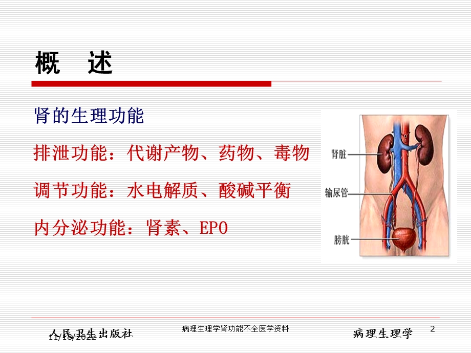 病理生理学肾功能不全医学培训课件.ppt_第2页