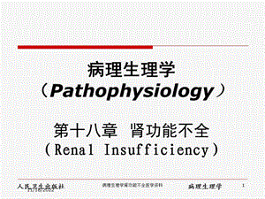 病理生理学肾功能不全医学培训课件.ppt