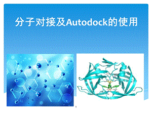 分子对接的原理 方法及应用课件.ppt