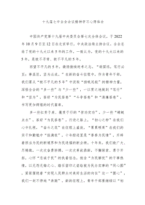 十九届七中全会会议精神学习心得体会3篇.docx