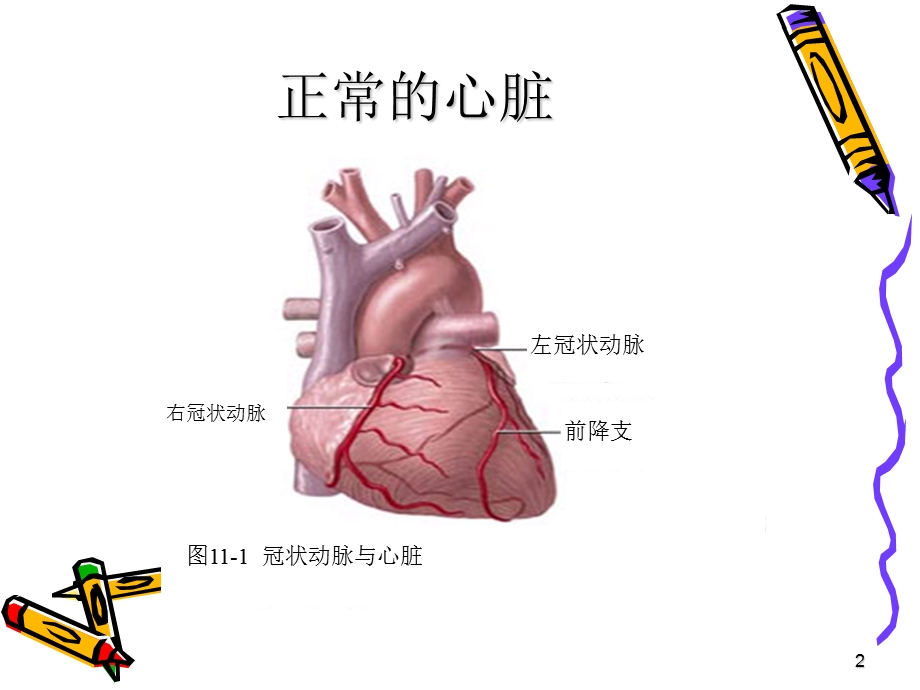 冠心病健康知识讲座ppt课件.ppt_第2页