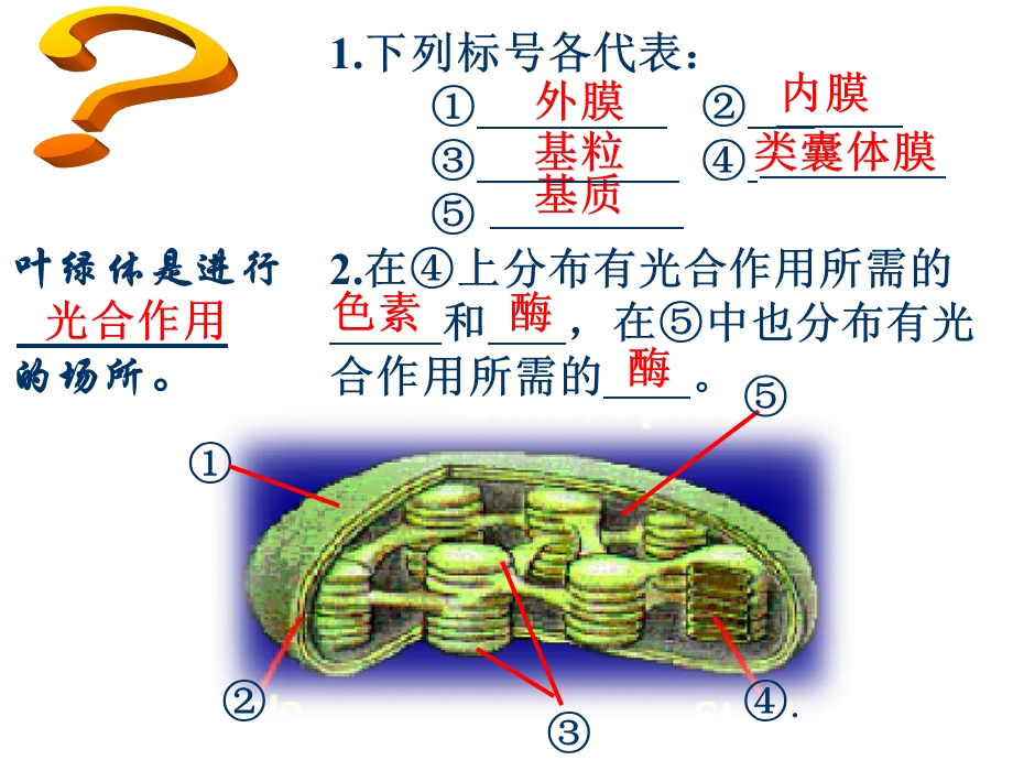 人教版教学ppt课件光合作用课件人教版.ppt_第3页