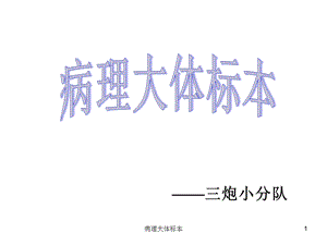 病理大体标本课件.ppt