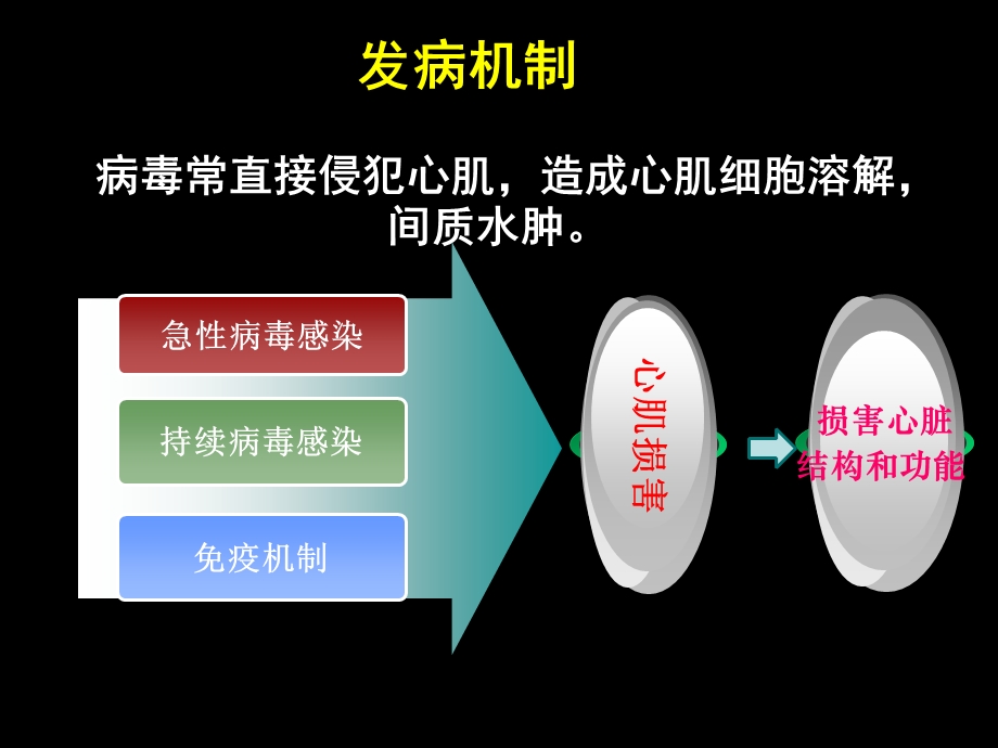 病毒性心肌炎病人的医疗护理培训课件.ppt_第3页