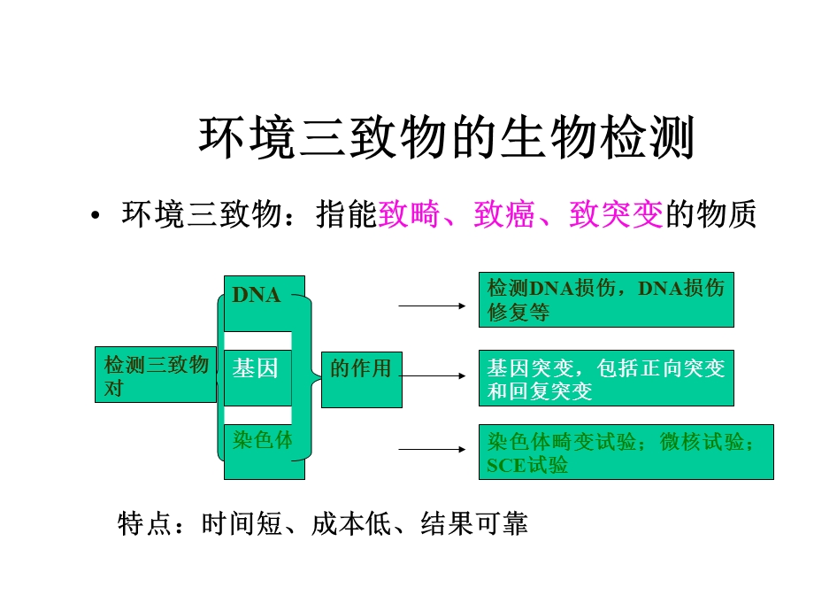 第六章环境三致物的生物检测课件.ppt_第1页