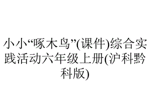 小小“啄木鸟”(课件)综合实践活动六年级上册(沪科黔科版).ppt