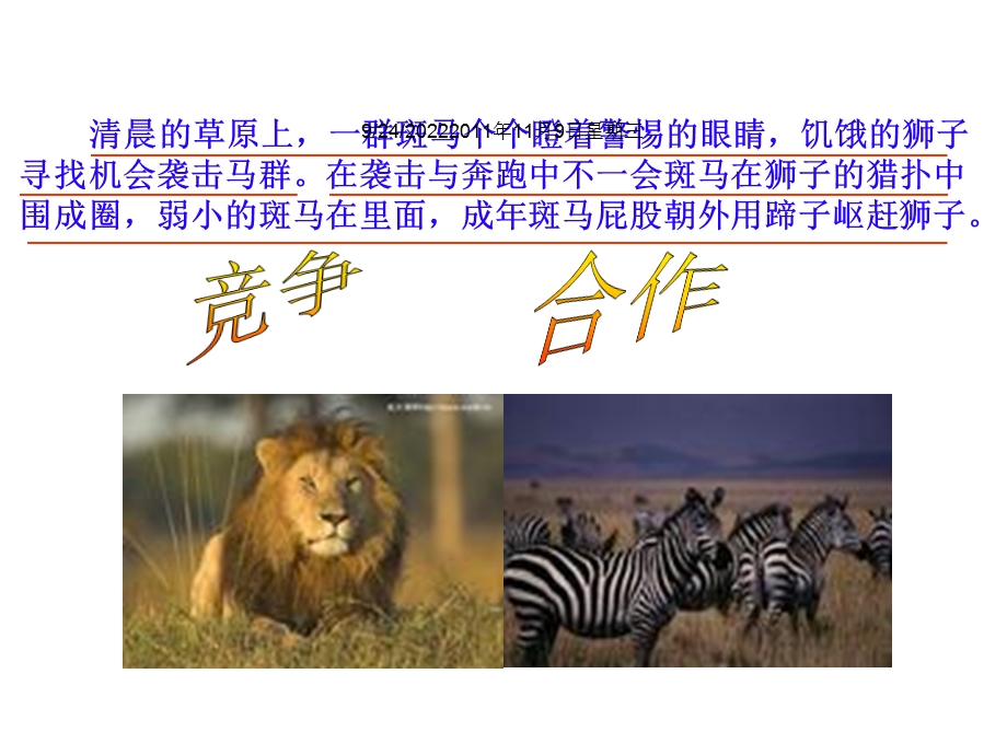 第八课第一框竞争？合作？课件.ppt_第2页