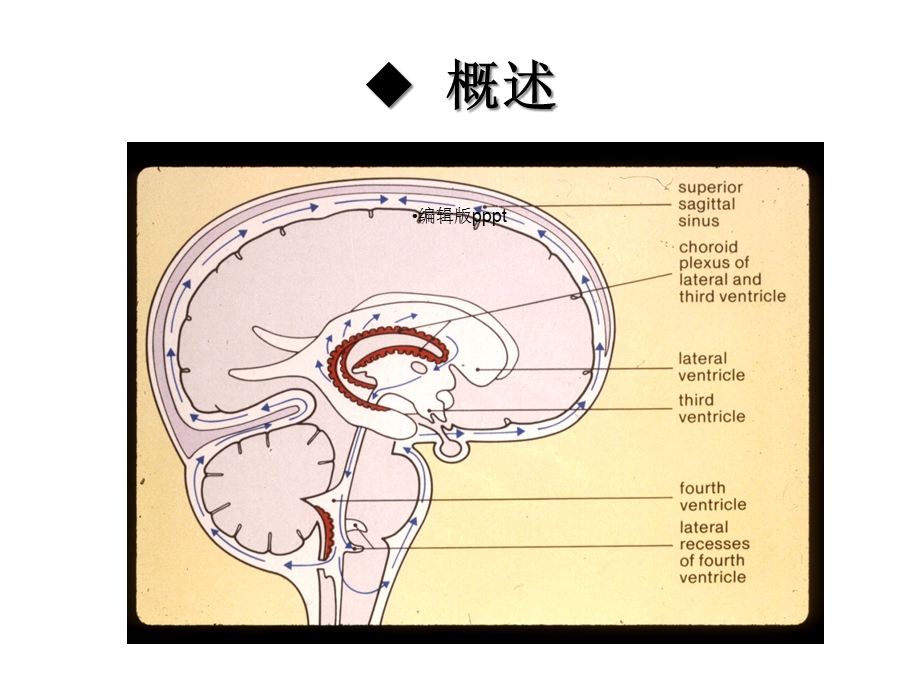 第十章颅脑疾病病人的护理(图片多)课件.ppt_第3页