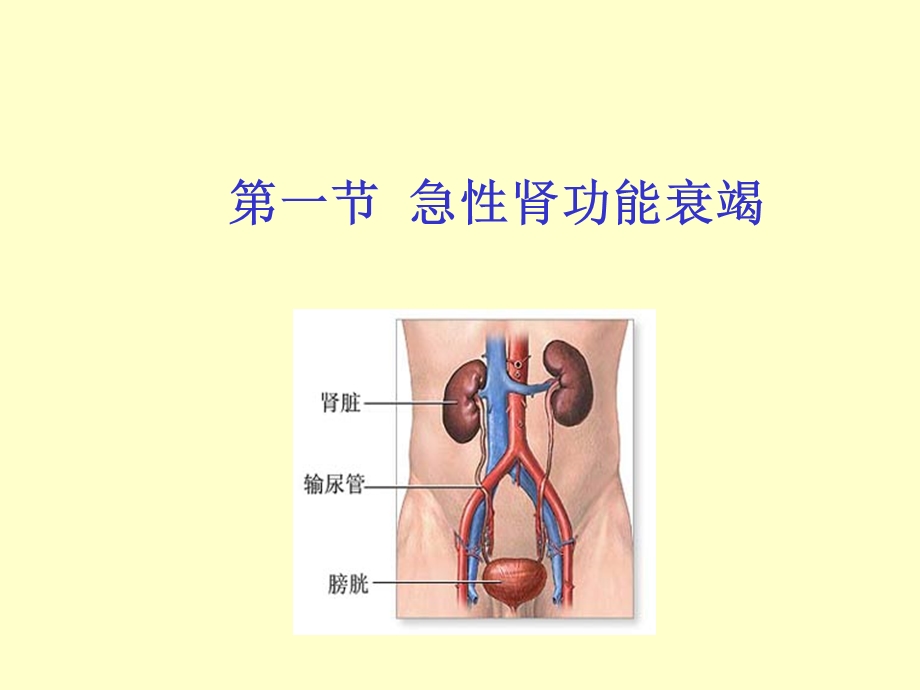 病生十三讲肾功能不全课件.pptx_第2页