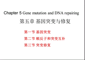 分子生物学第五章基因突变和修复ppt课件.ppt