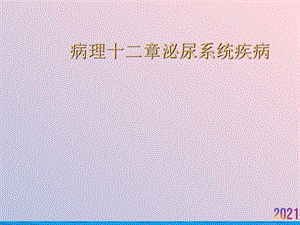 病理十二章泌尿系统疾病课件.ppt