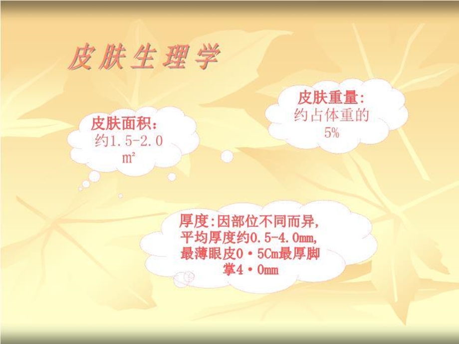 皮肤知识皮肤生理学课件.ppt_第3页