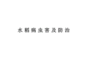 水稻病虫害及防治课件.ppt