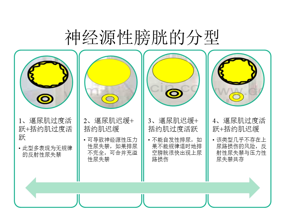 神经源性膀胱的康复护理完整版课件.pptx_第3页