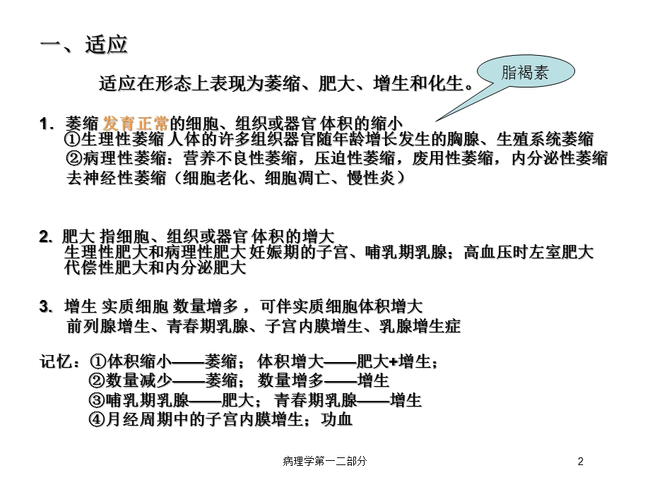 病理学第一二部分培训课件.ppt_第2页