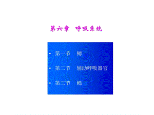 第四章肌肉系统课件.ppt