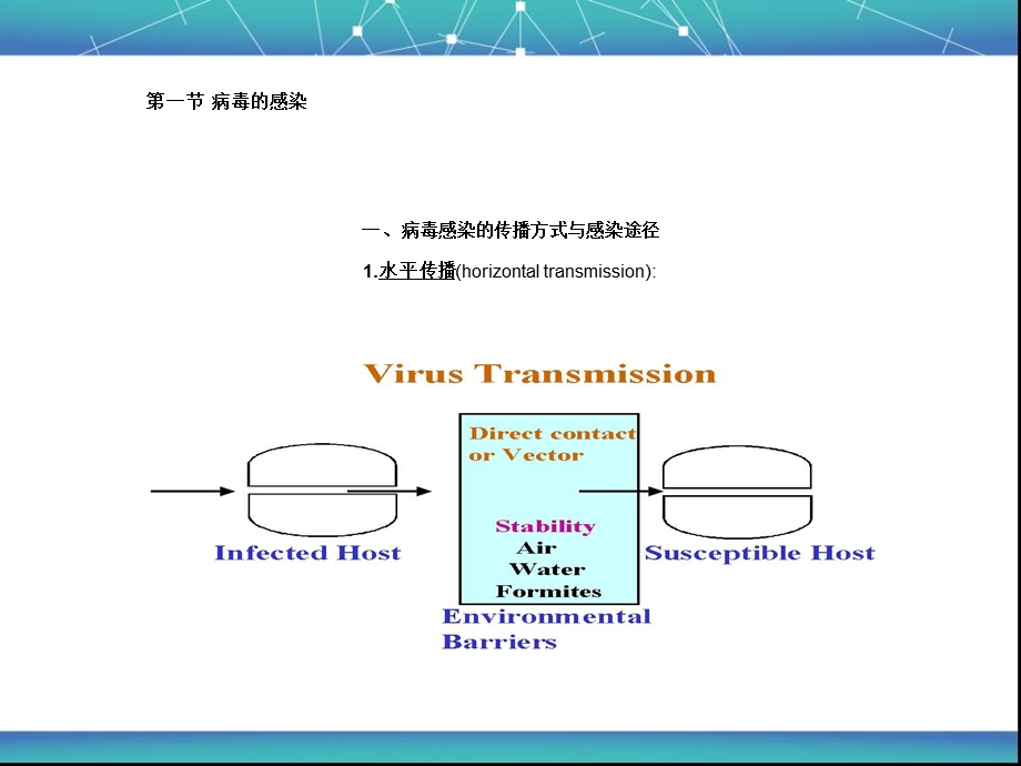 病毒的感染与免疫诊断与防治课件.ppt_第2页