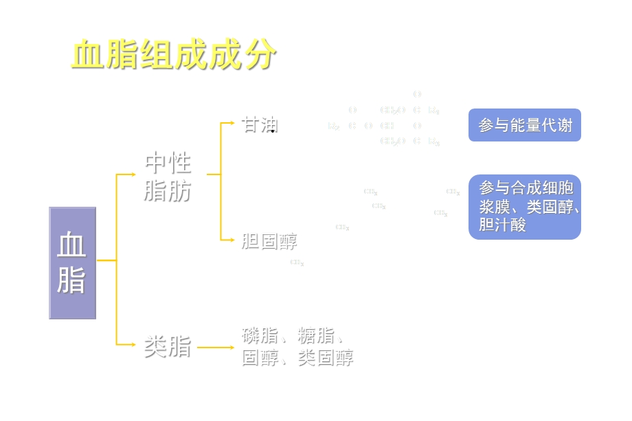 社区血脂异常防治 精选课件.ppt_第2页