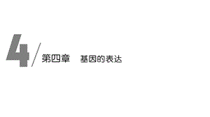 第1节基因指导蛋白质的合成课件.ppt