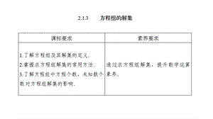 第二章213方程组的解集课件.pptx