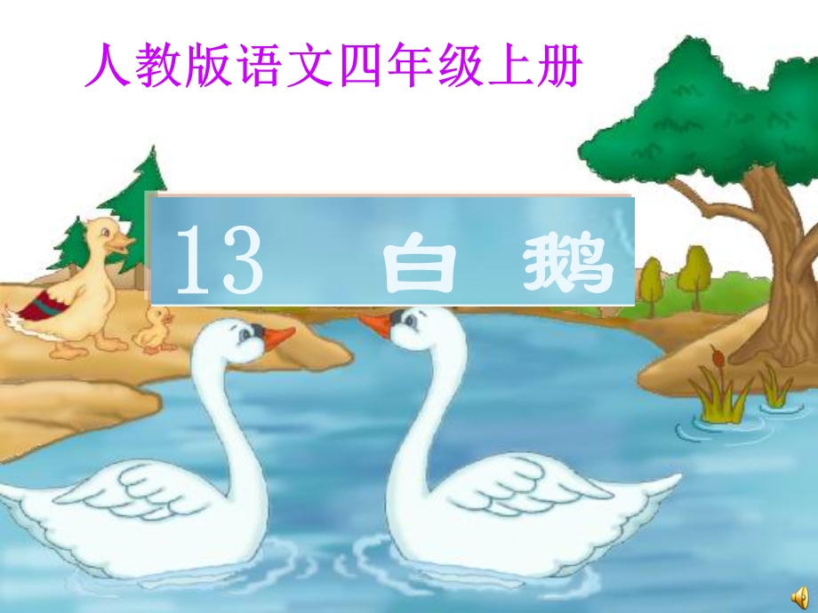 白鹅说课课件.ppt_第1页