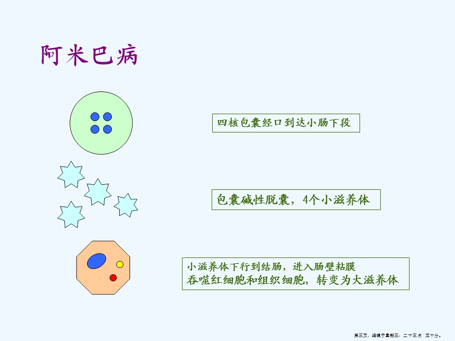 病理学寄生虫课件.ppt_第3页