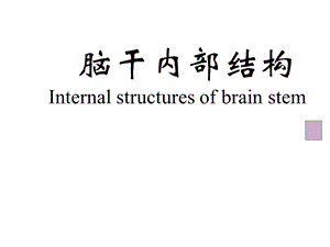 神经解剖学脑干简化课件.ppt