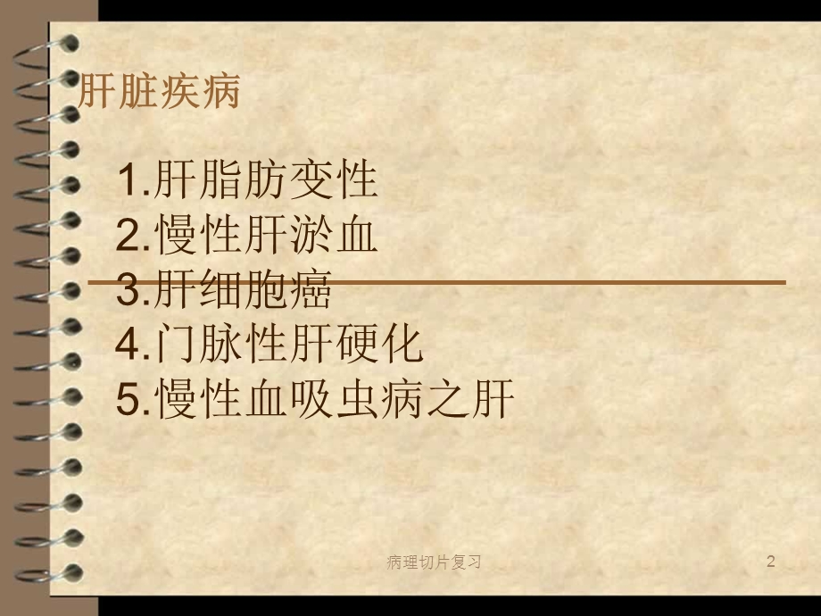 病理切片复习课件.ppt_第2页