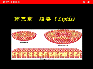 第三章脂类课件.ppt