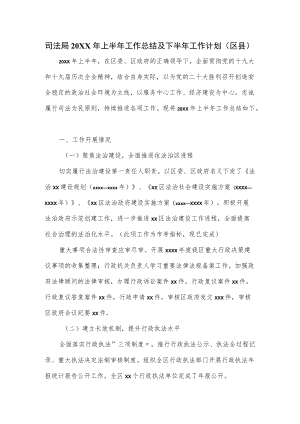 司法局2022年上半年工作总结及下半年工作计划.docx