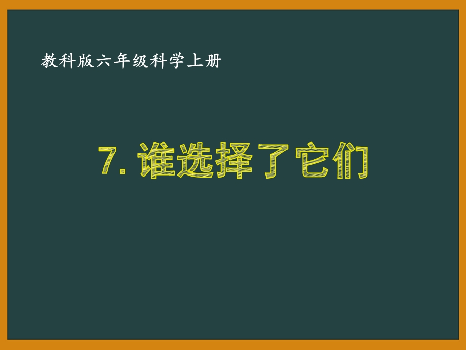 教科版六年级科学上册47《谁选择了它们》优秀课件.pptx_第1页