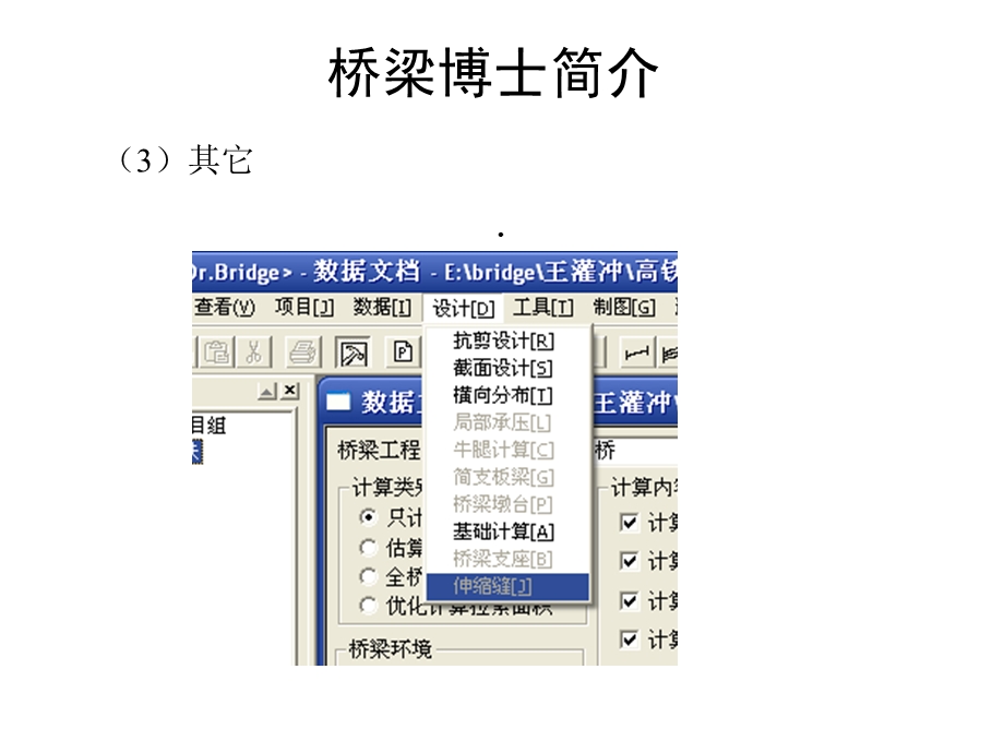 桥梁博士直线桥设计计算输入说明课件.ppt_第3页