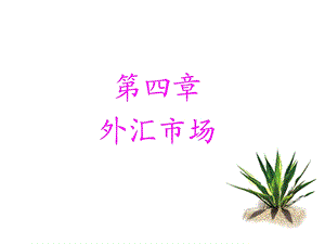 第四章外汇市场课件.ppt