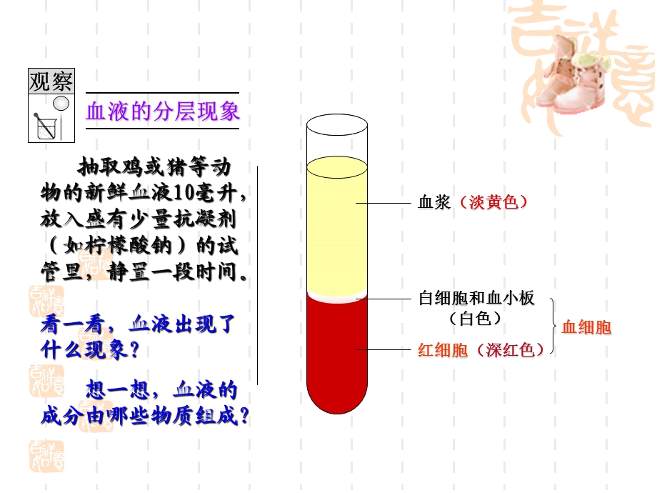 中考生物血液循环复习ppt课件.ppt_第3页