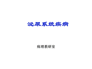 病理学：泌尿系统疾病课件.ppt