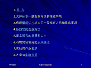 病理学实验指导建议培训课件.ppt