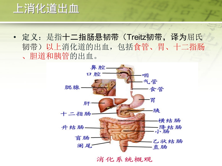 急性上消化道出血药物治疗课件.ppt_第2页